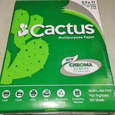 cactus short bondpaper
